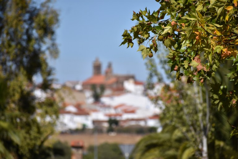 7B33B50C-EF75-4121-821A-372EB9E36AF9