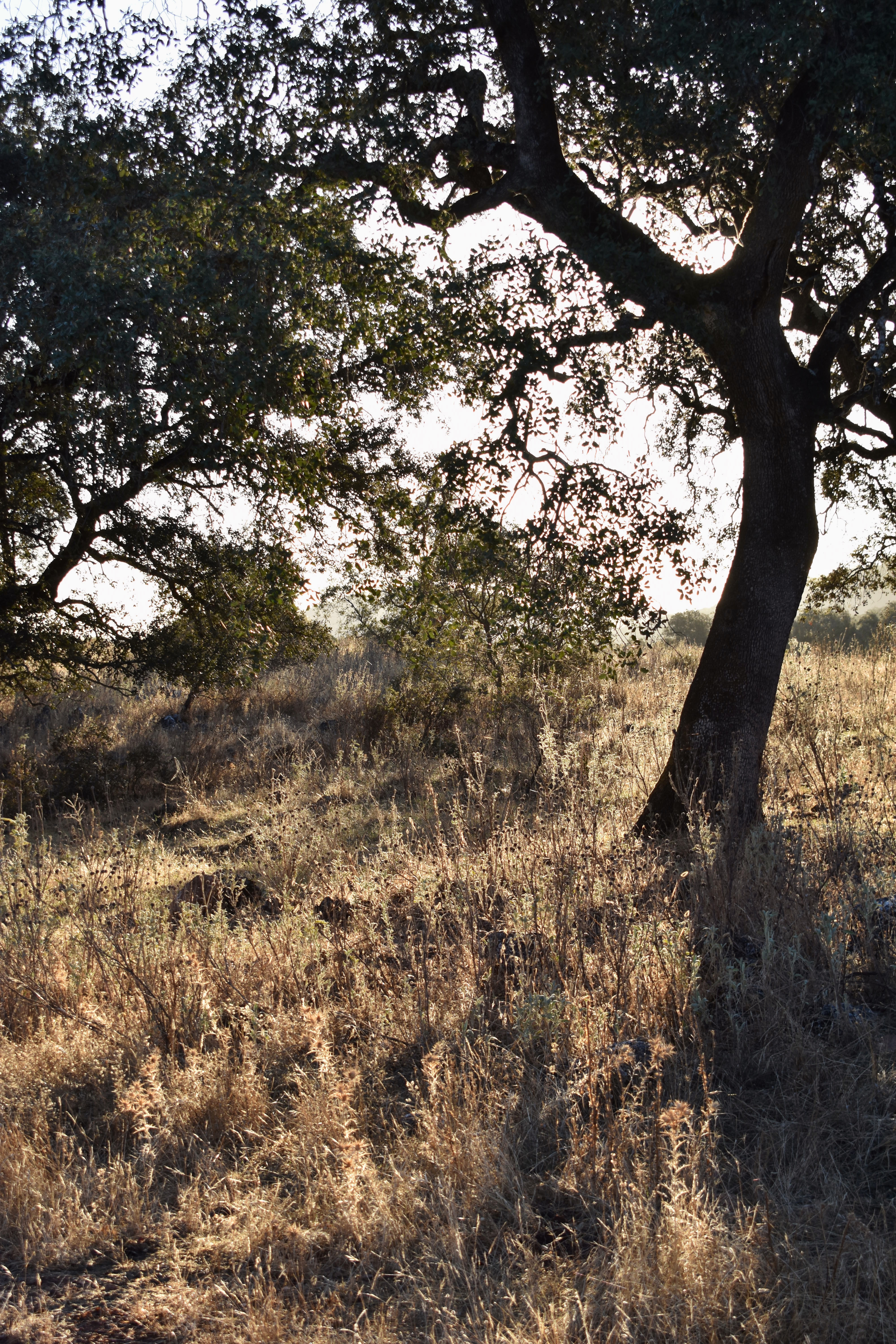 7DDF2BEB-BCD7-484D-BAFB-1A2C227BADCC