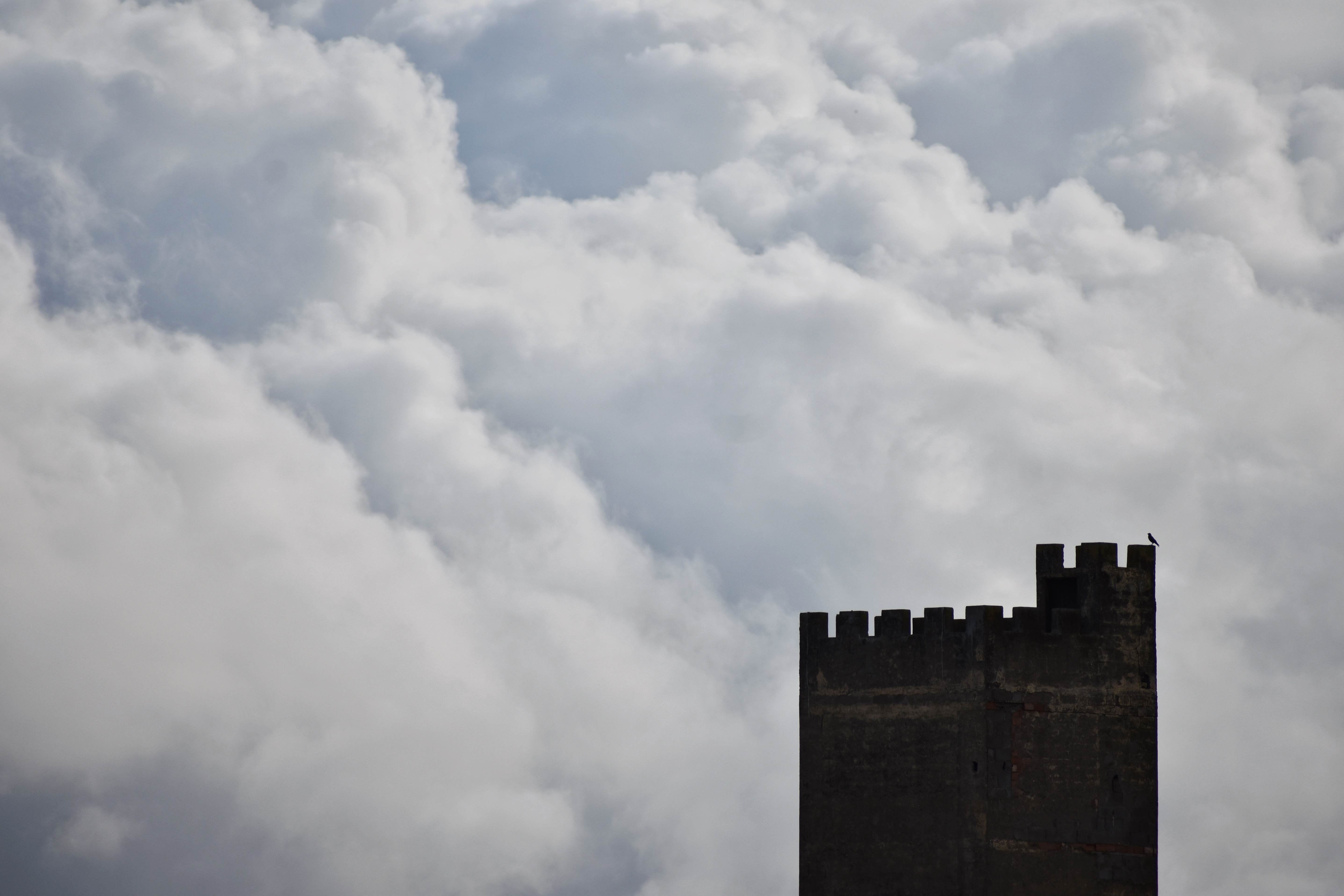 84145722-4B81-4FAF-B860-53A2DACDC119