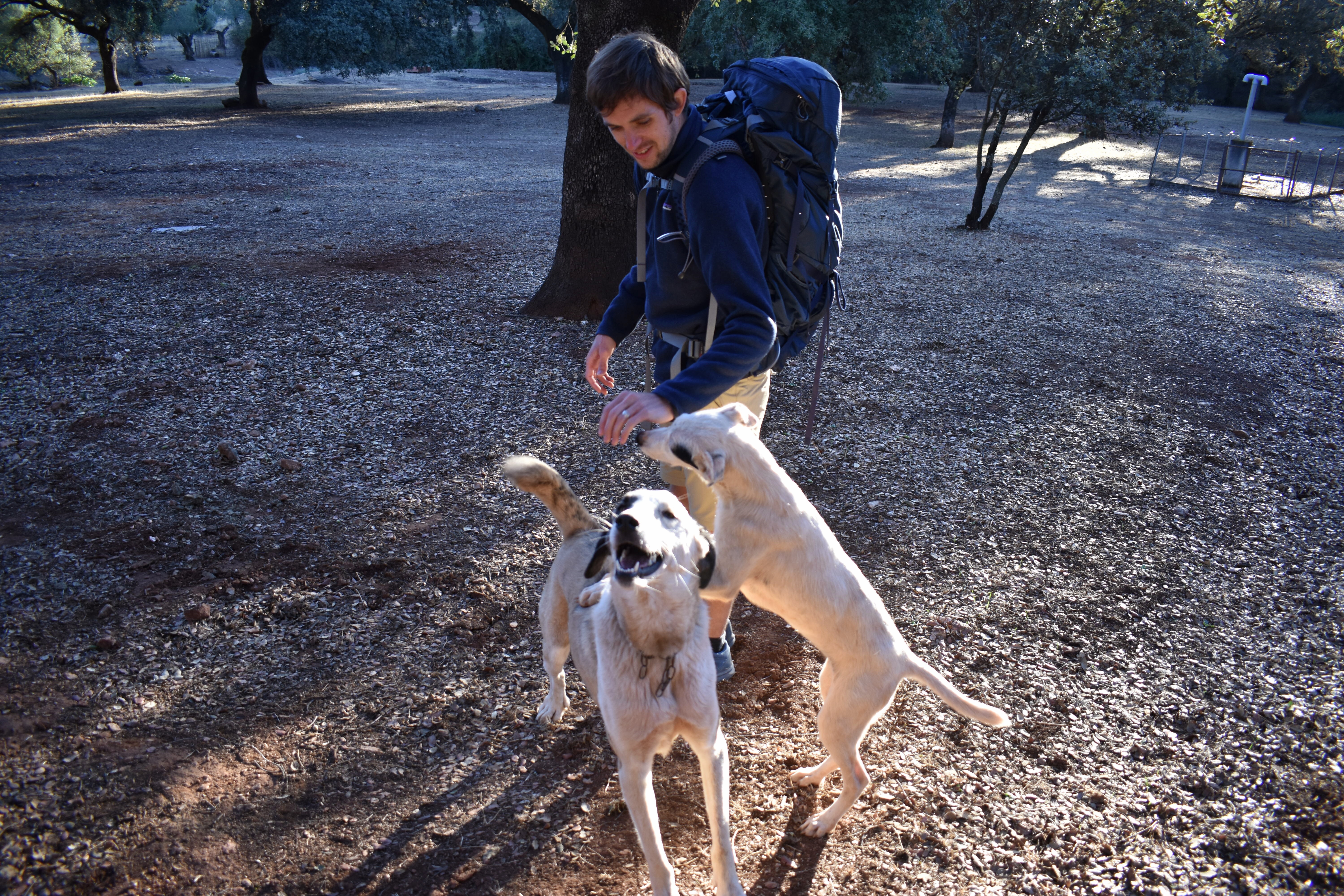 8442D493-394F-48B5-9C9E-3BEB8F4C1B1A