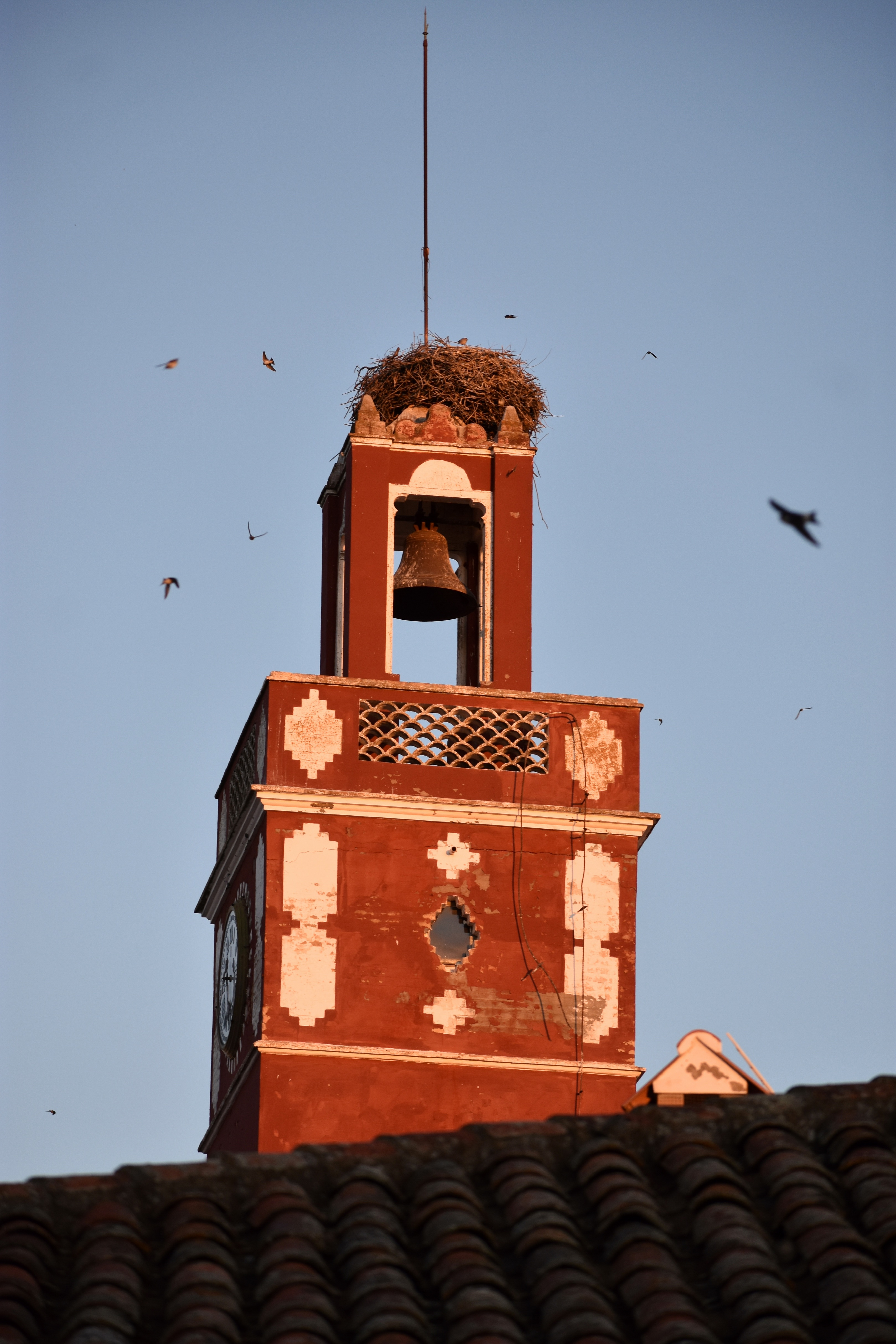 8FDE1404-EA00-4FF5-AB8B-FB7E8406A0E1