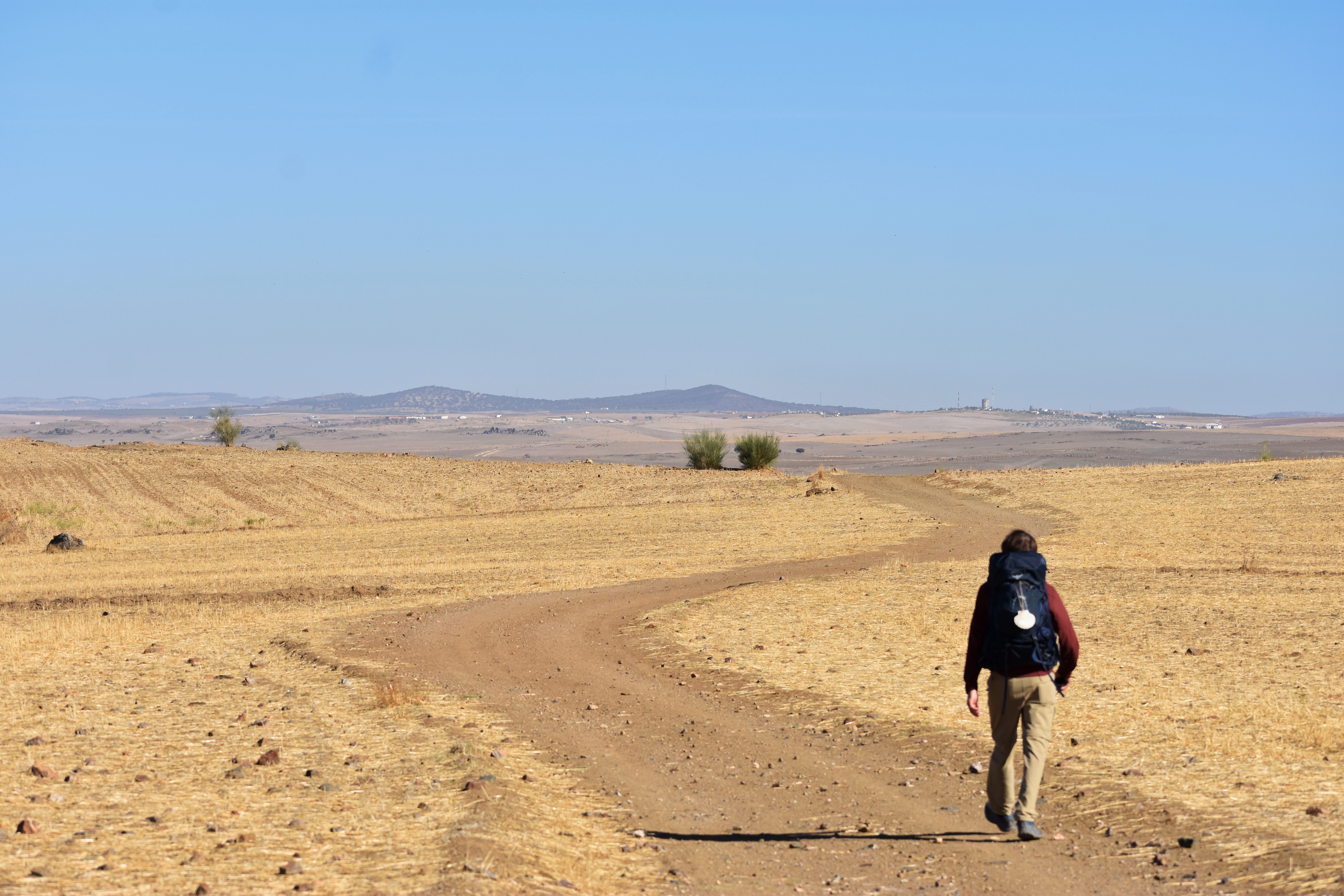 A1AFFAFE-5B4A-4108-AE47-49D0820AABA5