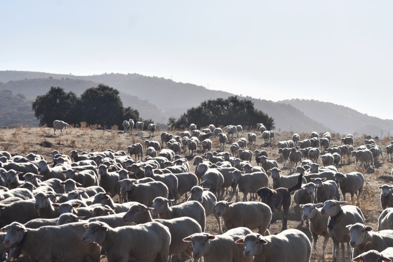 B5E9A53C-3A22-4CBF-918C-CDE08717F6BF