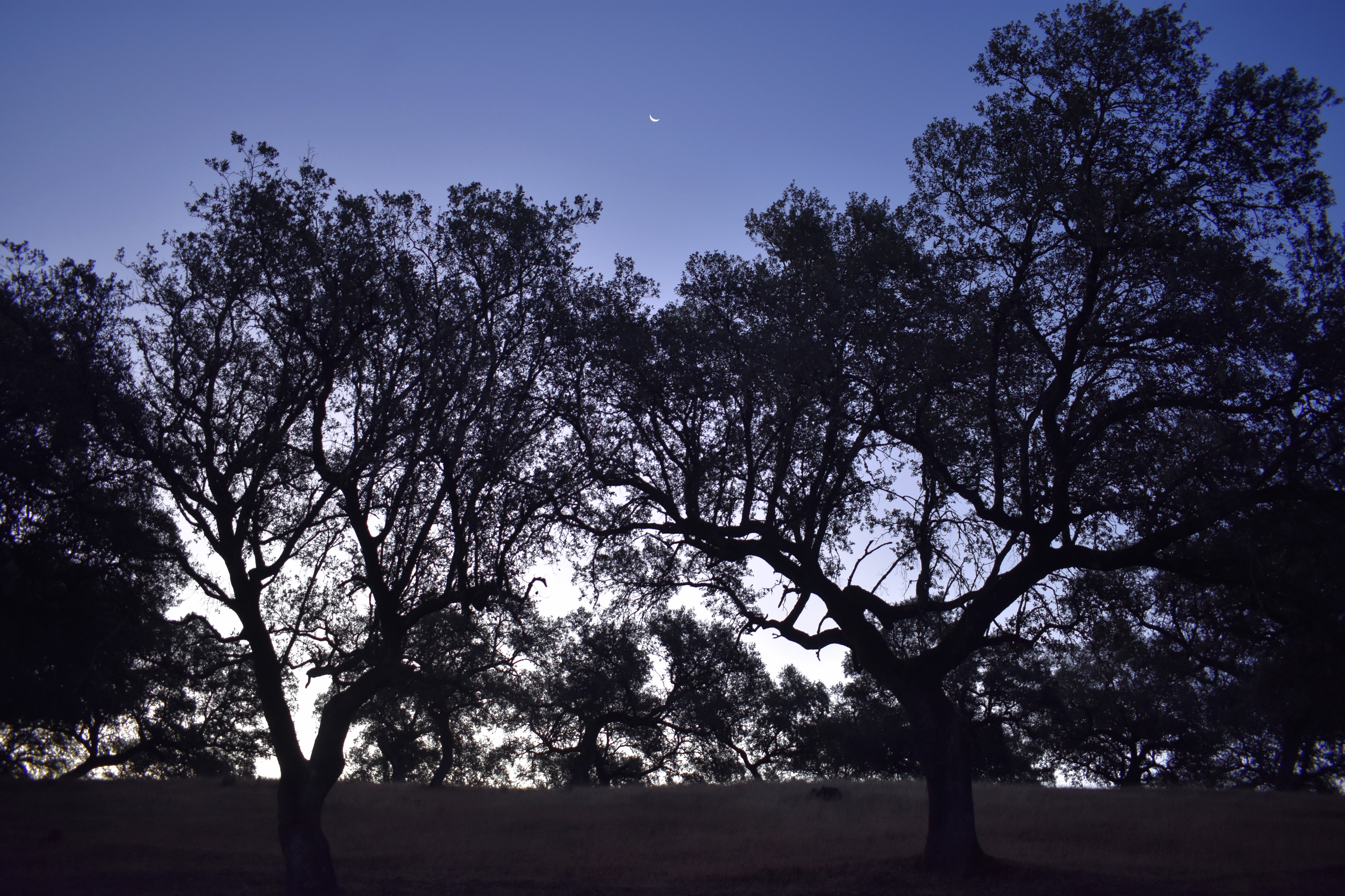 CB5FDF06-2E0D-4ECC-9952-660E125DA81F