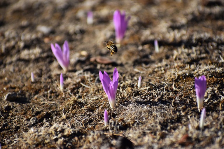 D086D954-A188-4EFC-8CF1-C504C4C93029