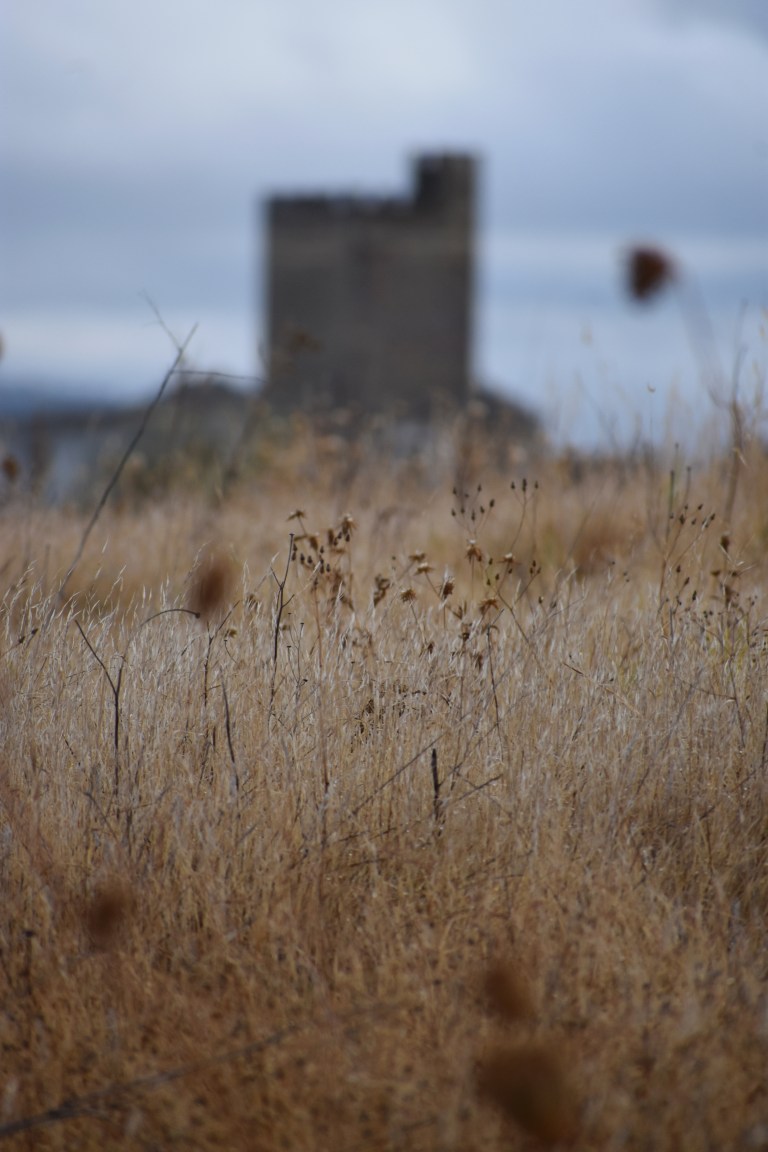 D0E26D45-6702-4B24-B35A-DDA41D6D58EF