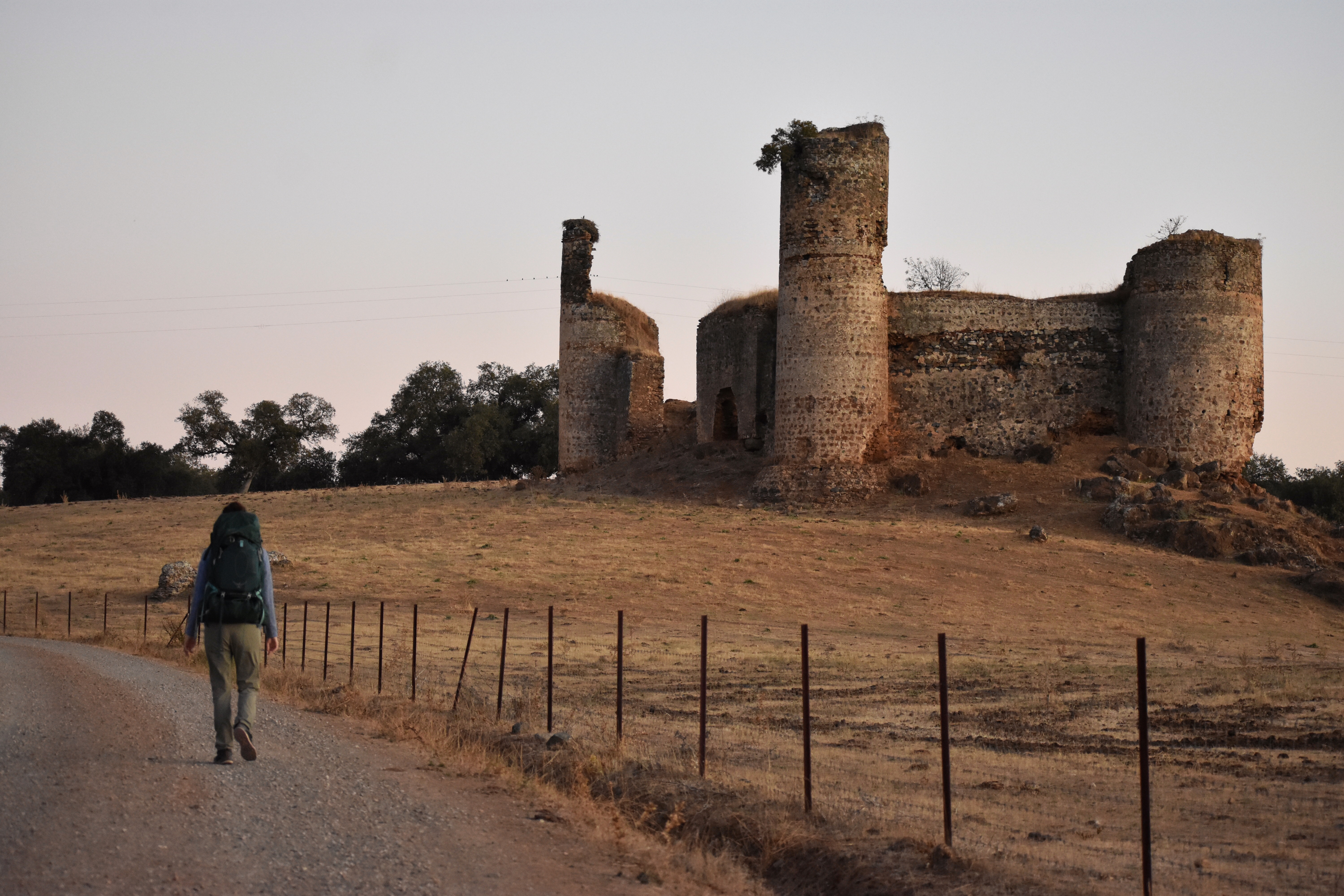 E3F110A6-D5DA-44A0-8030-C4046245A233