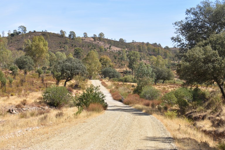 E8175420-144E-4C87-961B-39C08B372C63