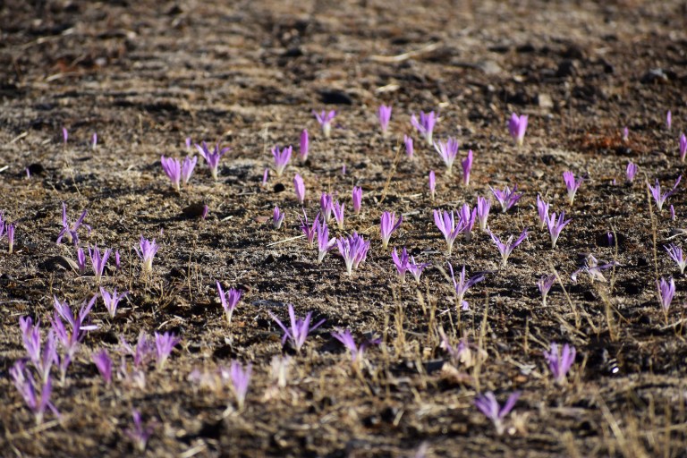 FC8F0506-1DDC-4C2E-8FC5-D4F86D0E9029