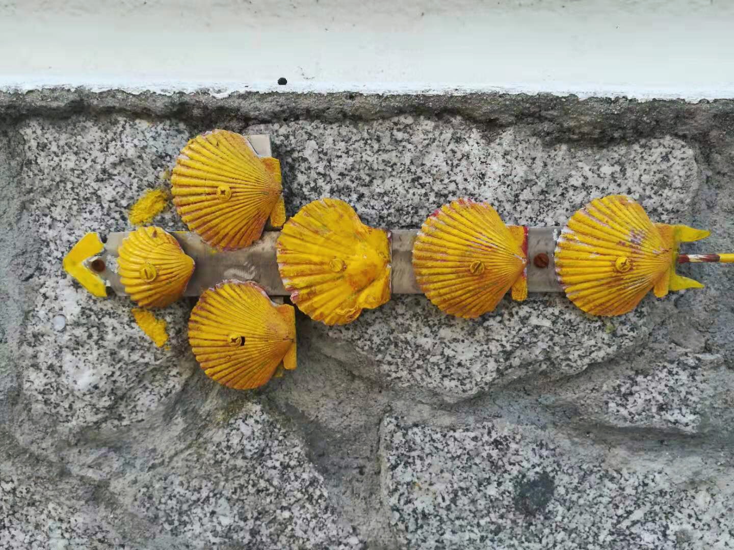 0080EC2E-A422-463F-B009-C7327A8DF335