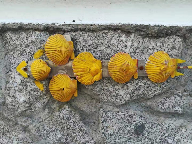 0080EC2E-A422-463F-B009-C7327A8DF335