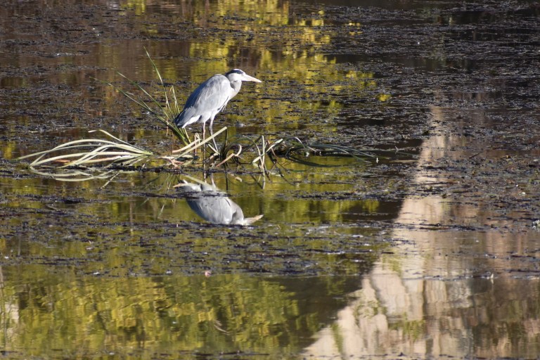 12368433-98A3-4D89-9DA8-F8FF31C4B907