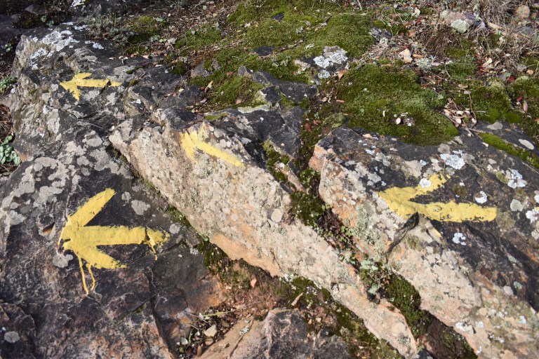 25E3B039-9C23-4F1A-8E8B-58342A8D8D8C