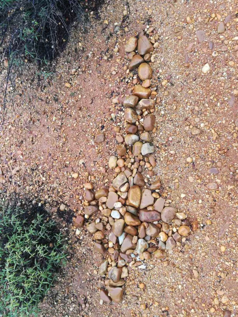 2BA45462-40EE-4A4B-8C10-BB3861B47E68