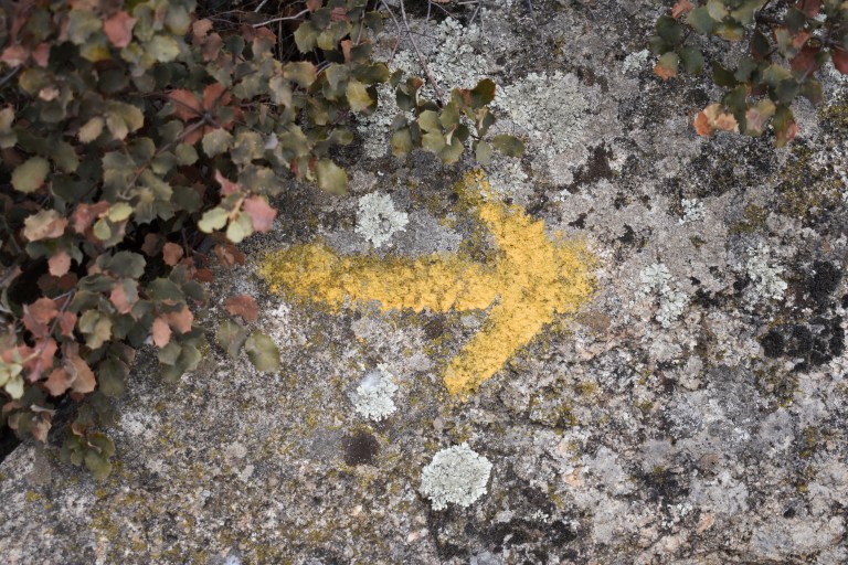 31DE952D-3F7A-4884-A77D-CD09ABB9931A