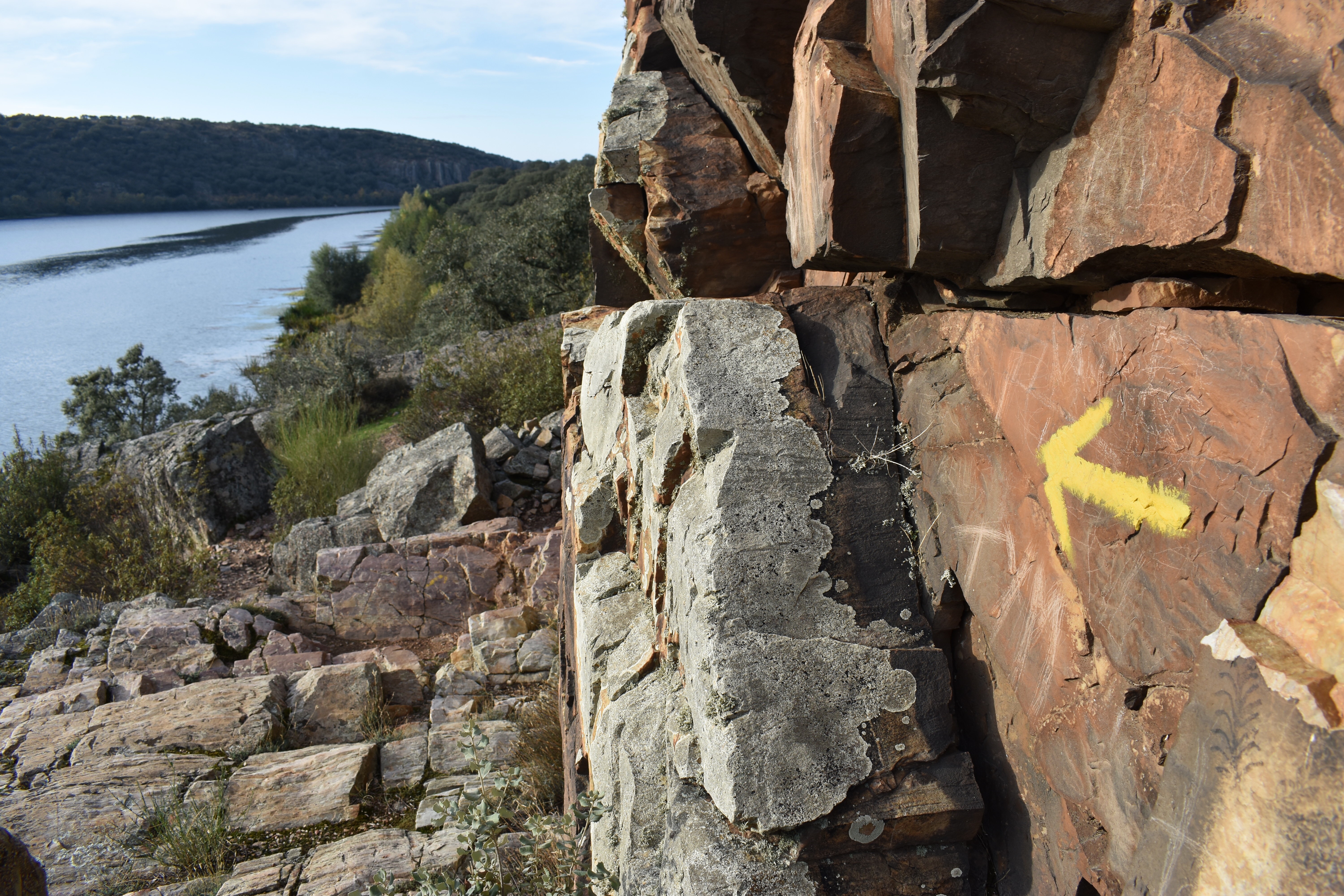 33D9CCC3-D406-4CAD-BEA1-EF42FE24CB78