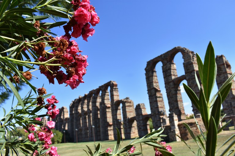 3629C340-9434-4AAB-8E42-2FBFBFC2697E