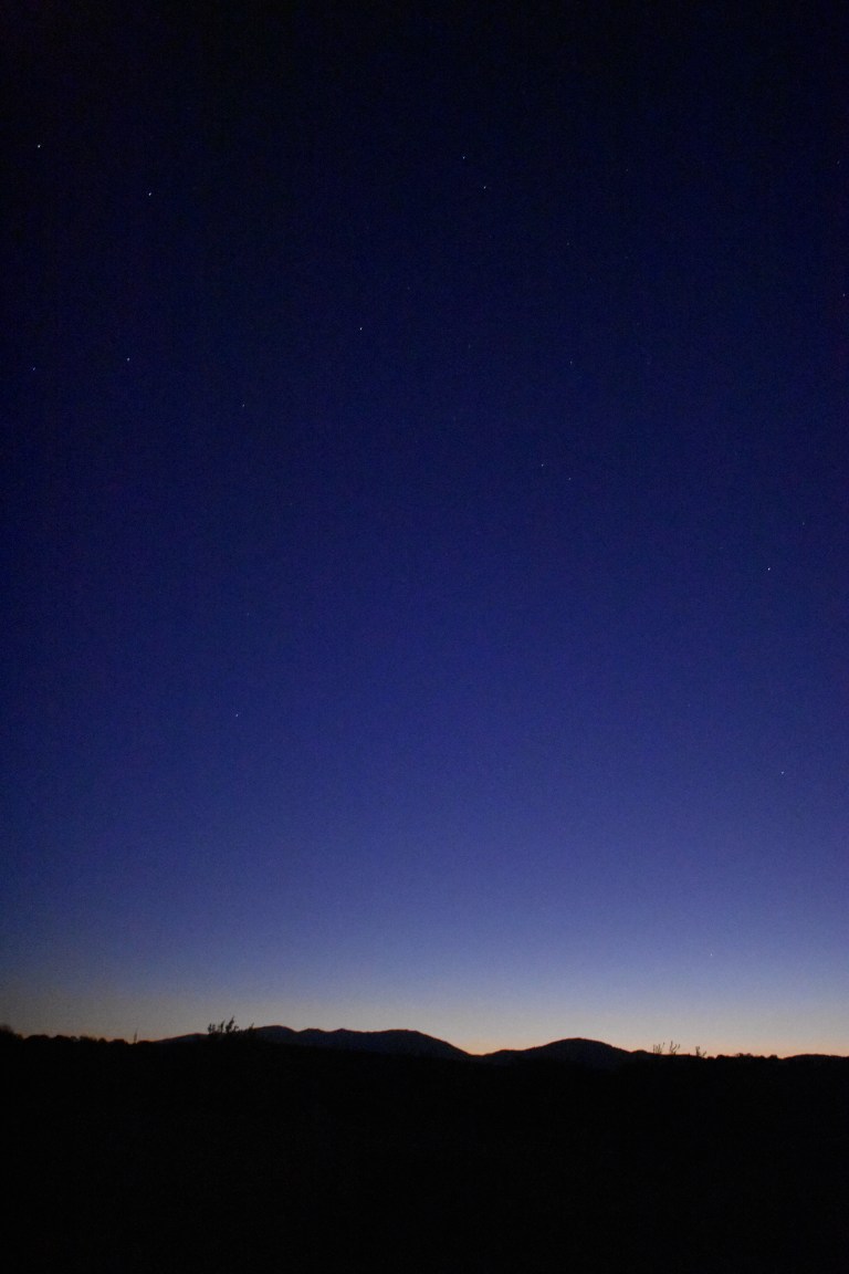 5113437D-5412-4253-AB55-7FC6342C75ED