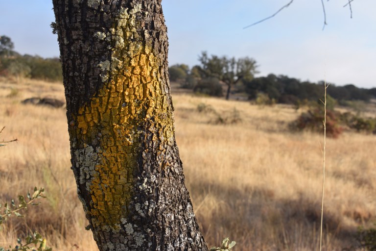 5CE126CB-C1D5-447F-9F52-58D52070E319