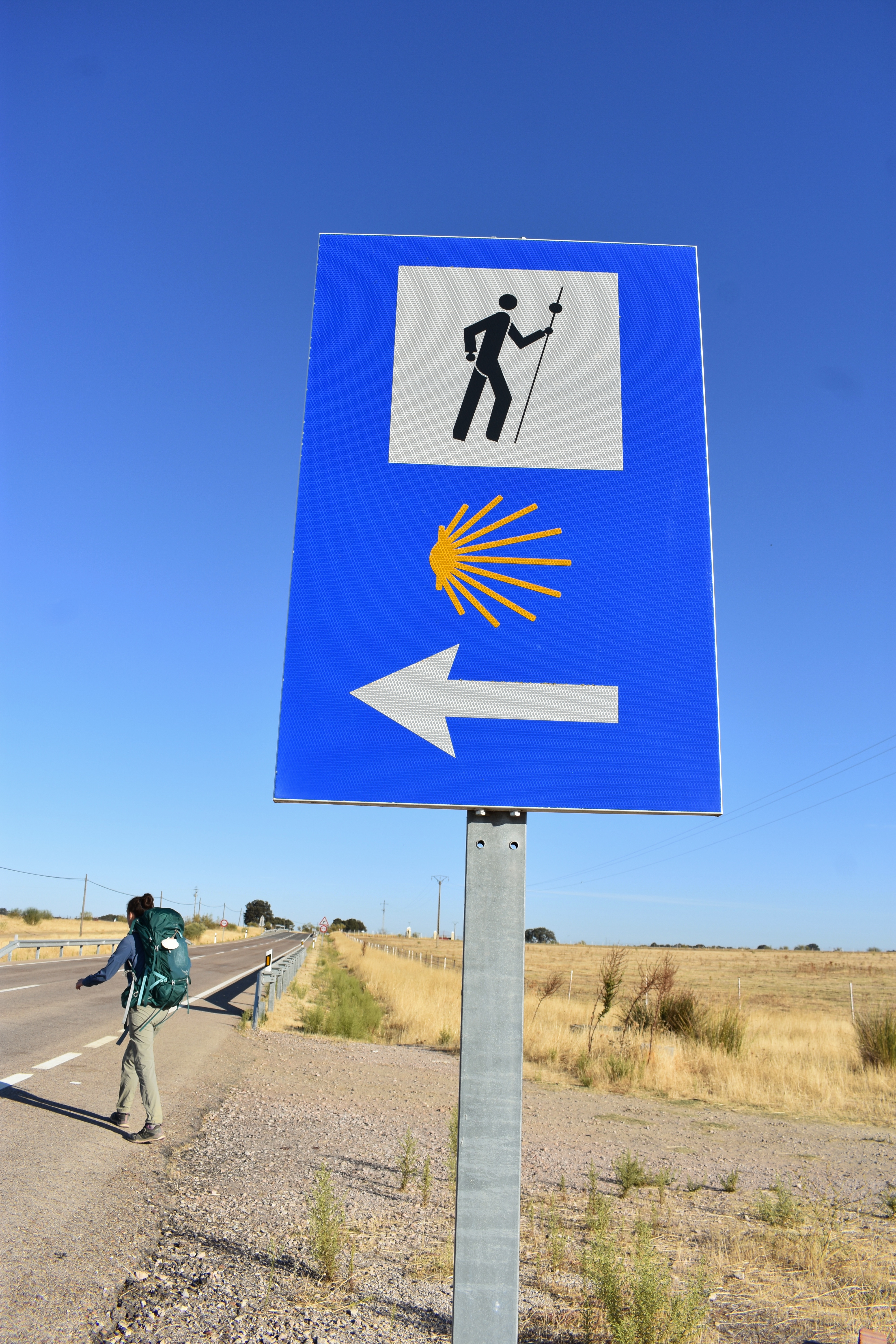 73087A91-C656-4EC5-93D8-1FB4CF84B166