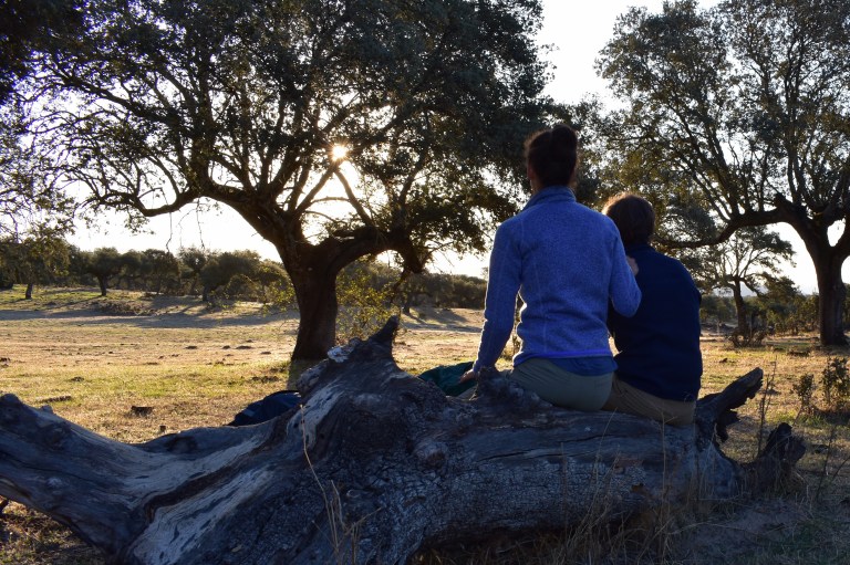 93CBE62A-D9FB-409C-8EEB-B7F72EC306F5