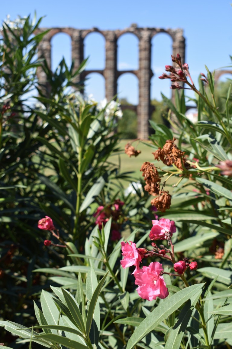 95E0E737-5816-4670-9782-6AF53E10A92B