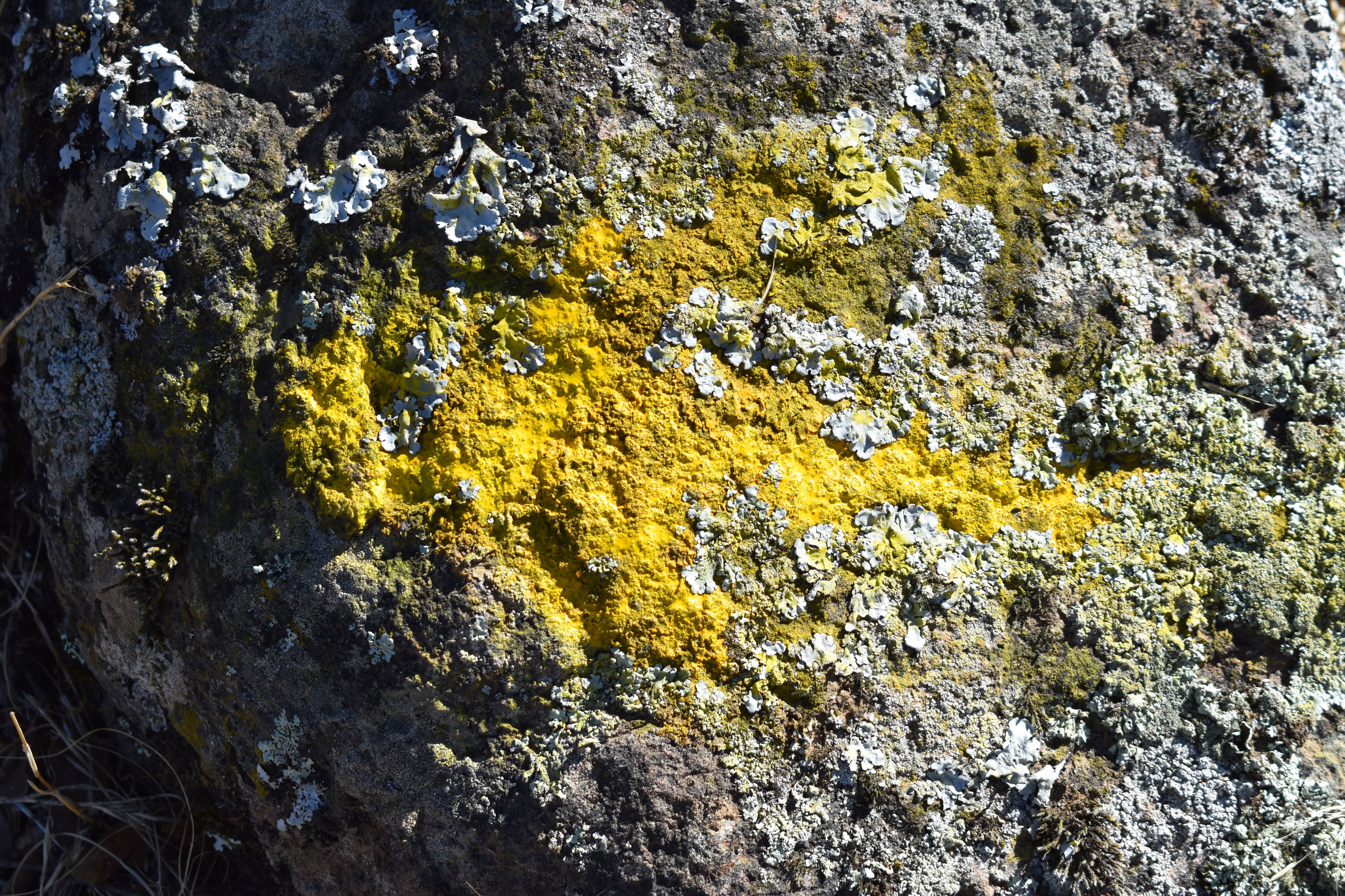 9F52BFAC-DB7D-45F2-9C3A-7D965465F151