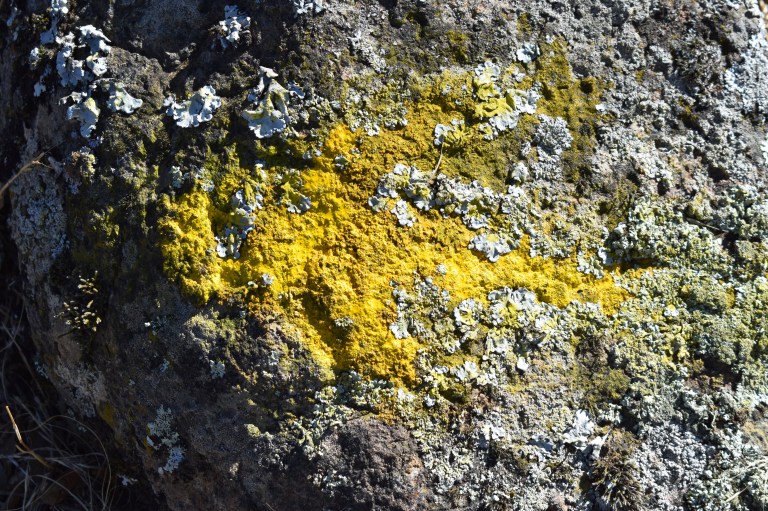 9F52BFAC-DB7D-45F2-9C3A-7D965465F151