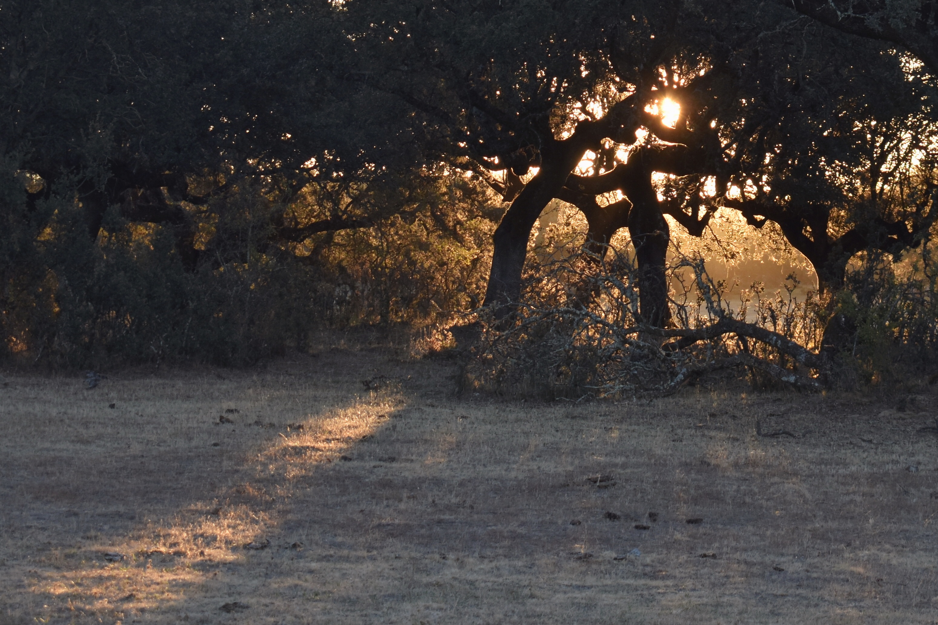 AF6DB11A-8F67-4D48-ACF8-106A61DEBD56