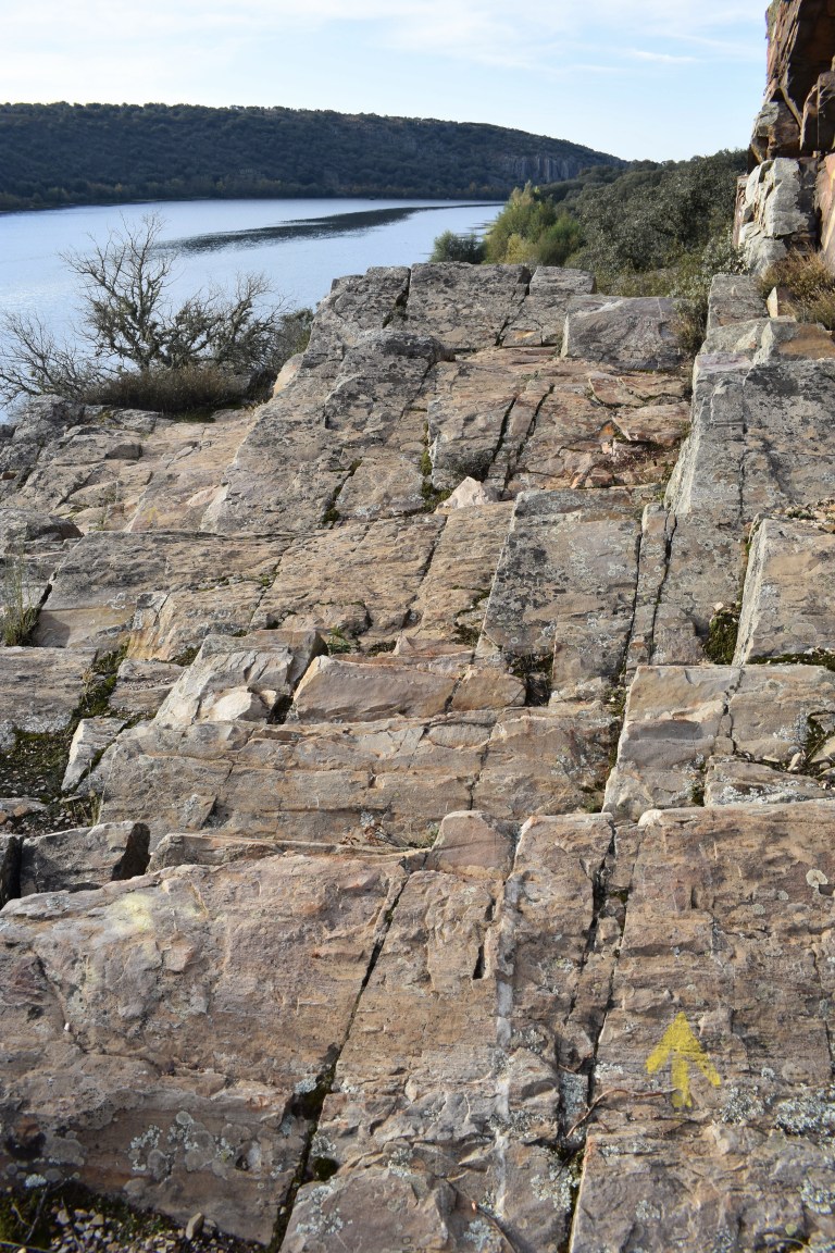 C3A15FC5-0068-4353-85DD-BD8C61C8C4D5