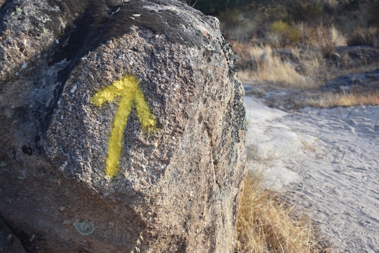 E78A0442-08A7-449F-A41A-CE636FEA710C