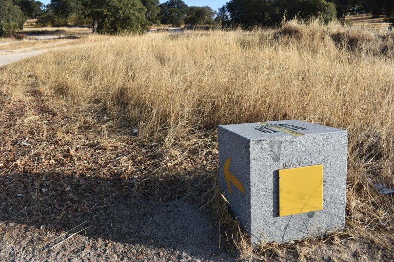 EE808C87-1D13-4A34-9C74-373415F00475