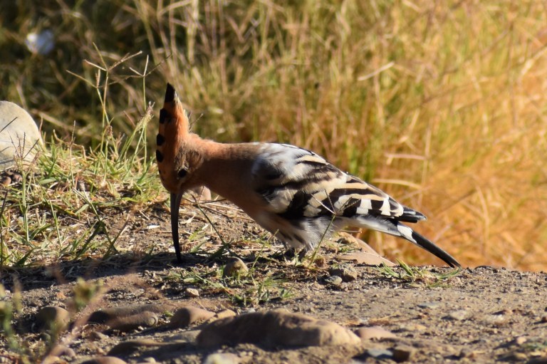 F77D7738-A87B-4815-AA2E-A0D2264331A1