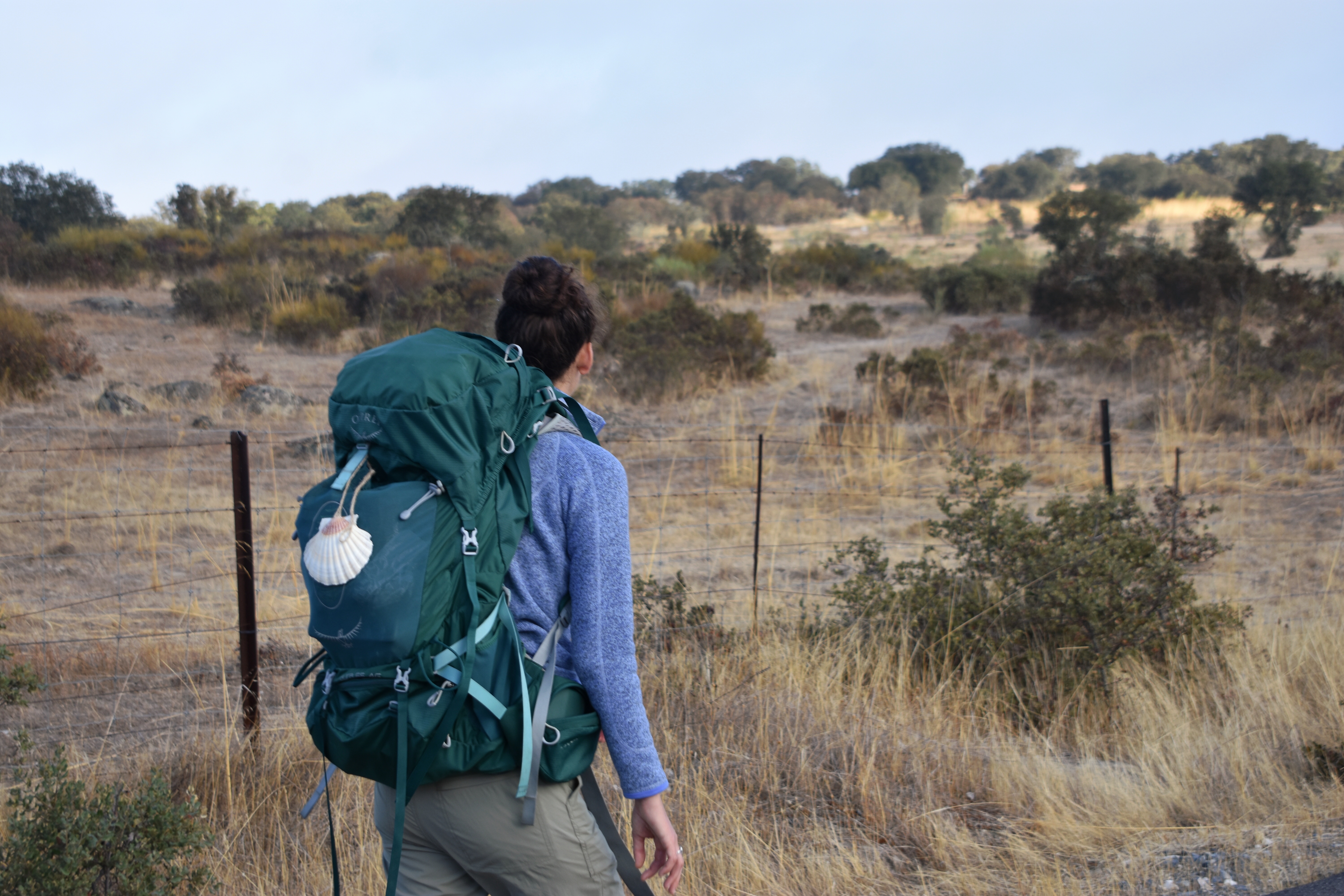 7A18AE8D-8973-4EC1-BC16-DA07FF9DFA78