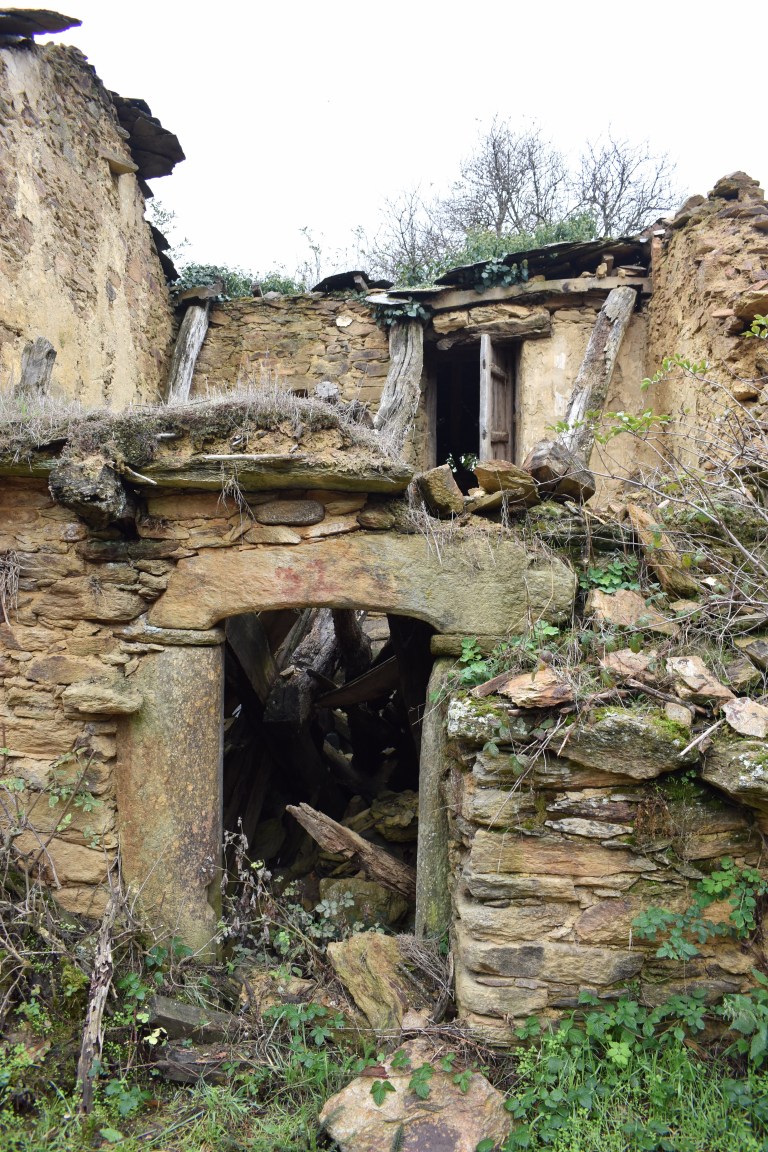 FD9320F9-896A-441F-B67F-97017452C833