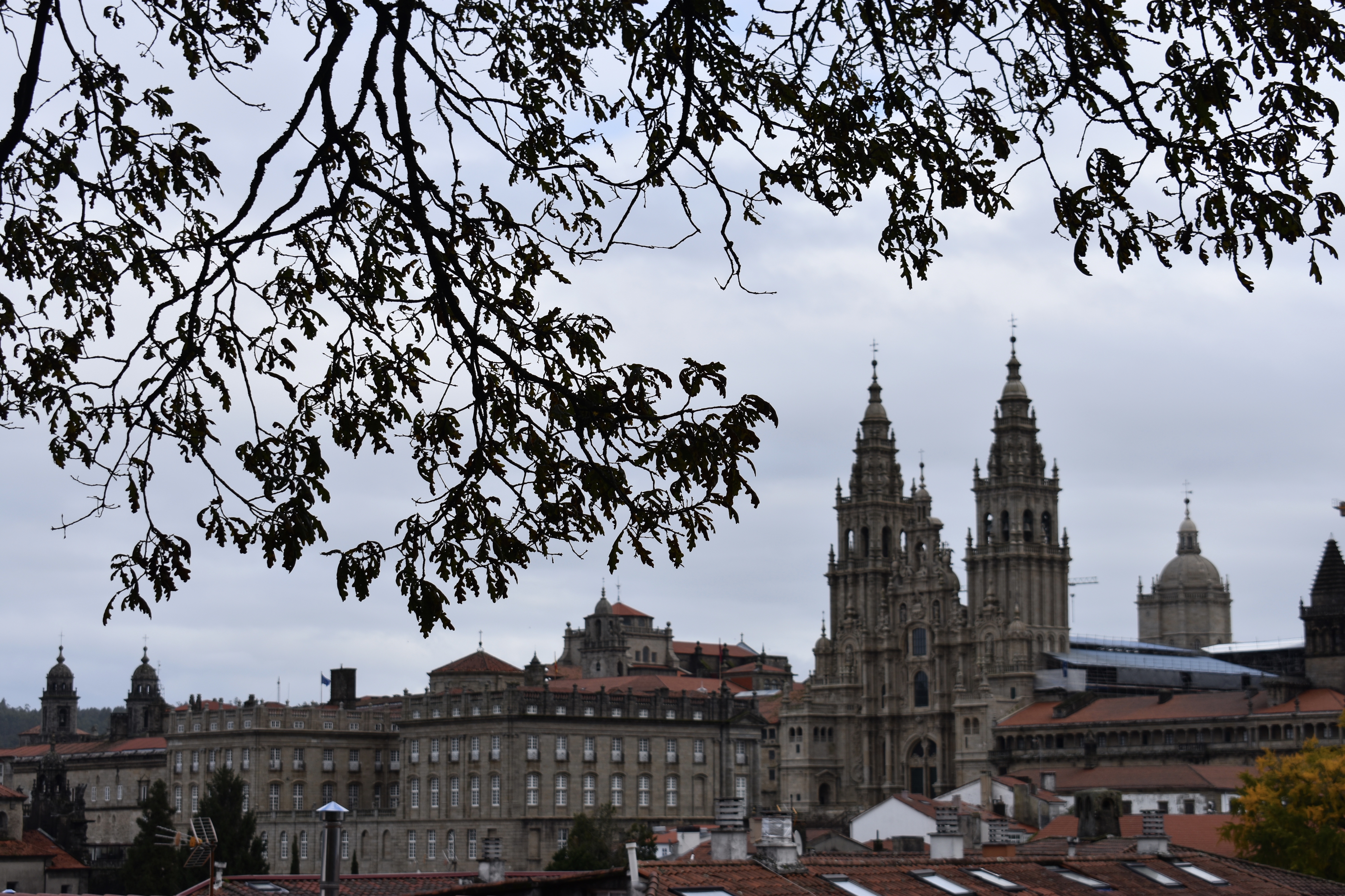 748B4B28-A008-4C74-B3BE-1E0DD157585D