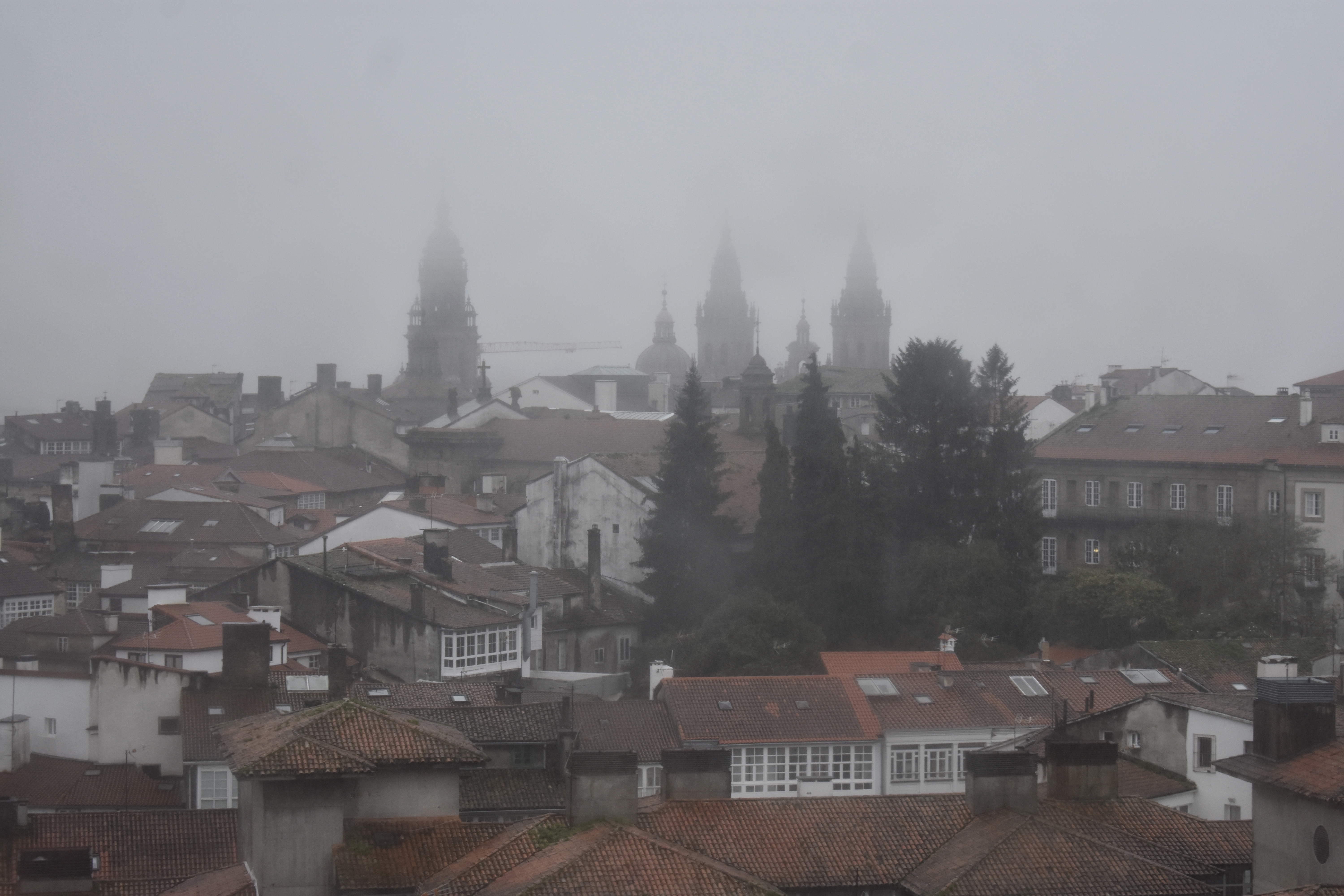 CD5355C9-B1DD-46A9-BECE-1E54B415A7BE