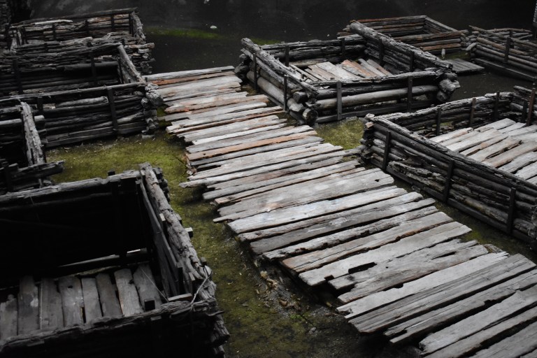 021CEA36-4570-4187-ADE5-2080B88BA9D3