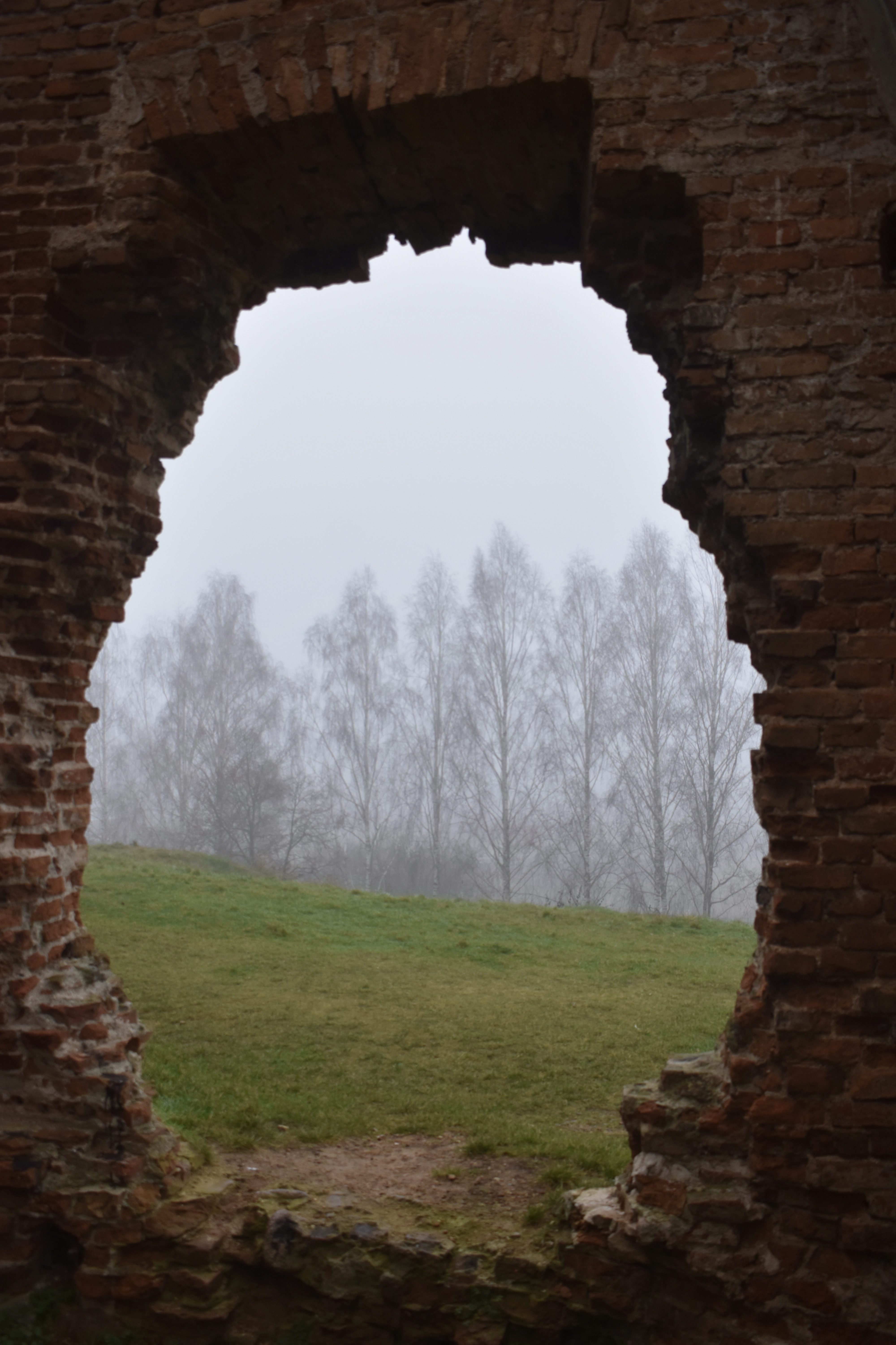 071B52C3-A78C-40F4-BB17-79DCD241BD3D