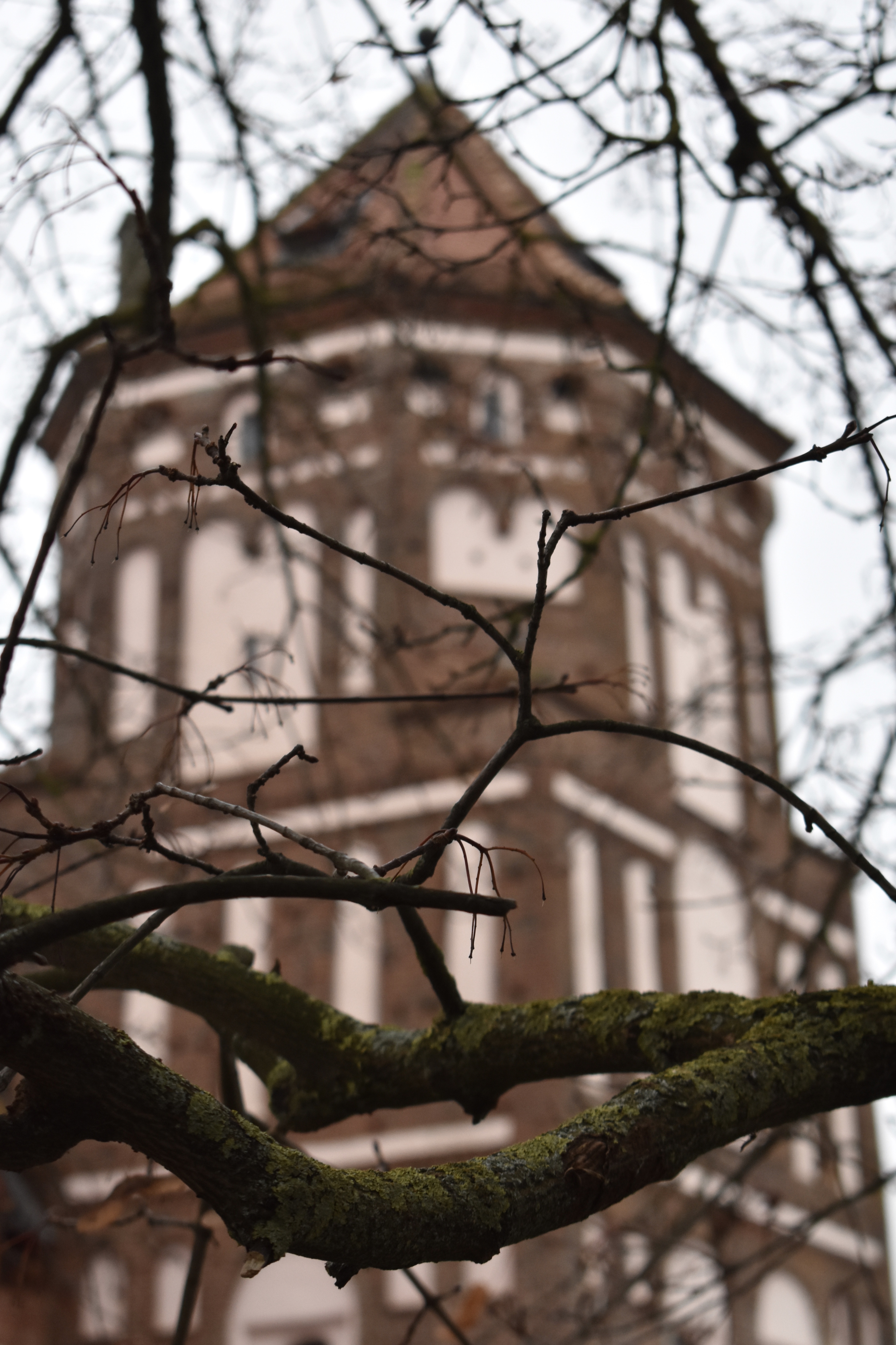 07CD9B5E-48E4-4BB5-93E9-A7435B4F512C