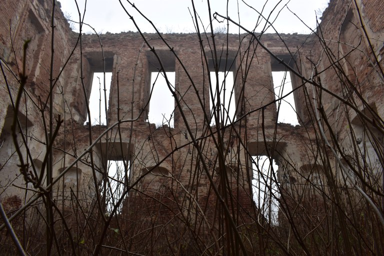 0E4AE1AA-770E-4CC7-A01B-915D5BD76FD2