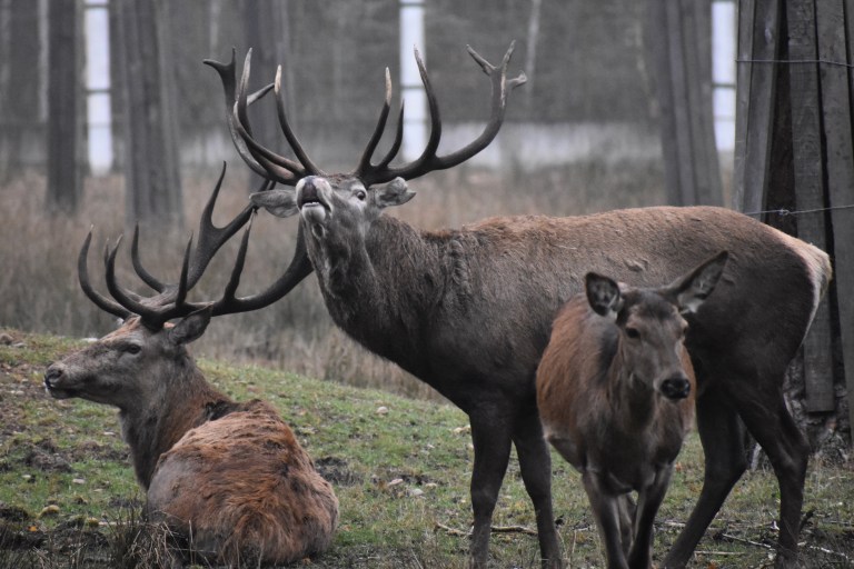 111D8677-FC6E-4417-B15B-831C0B4F739D