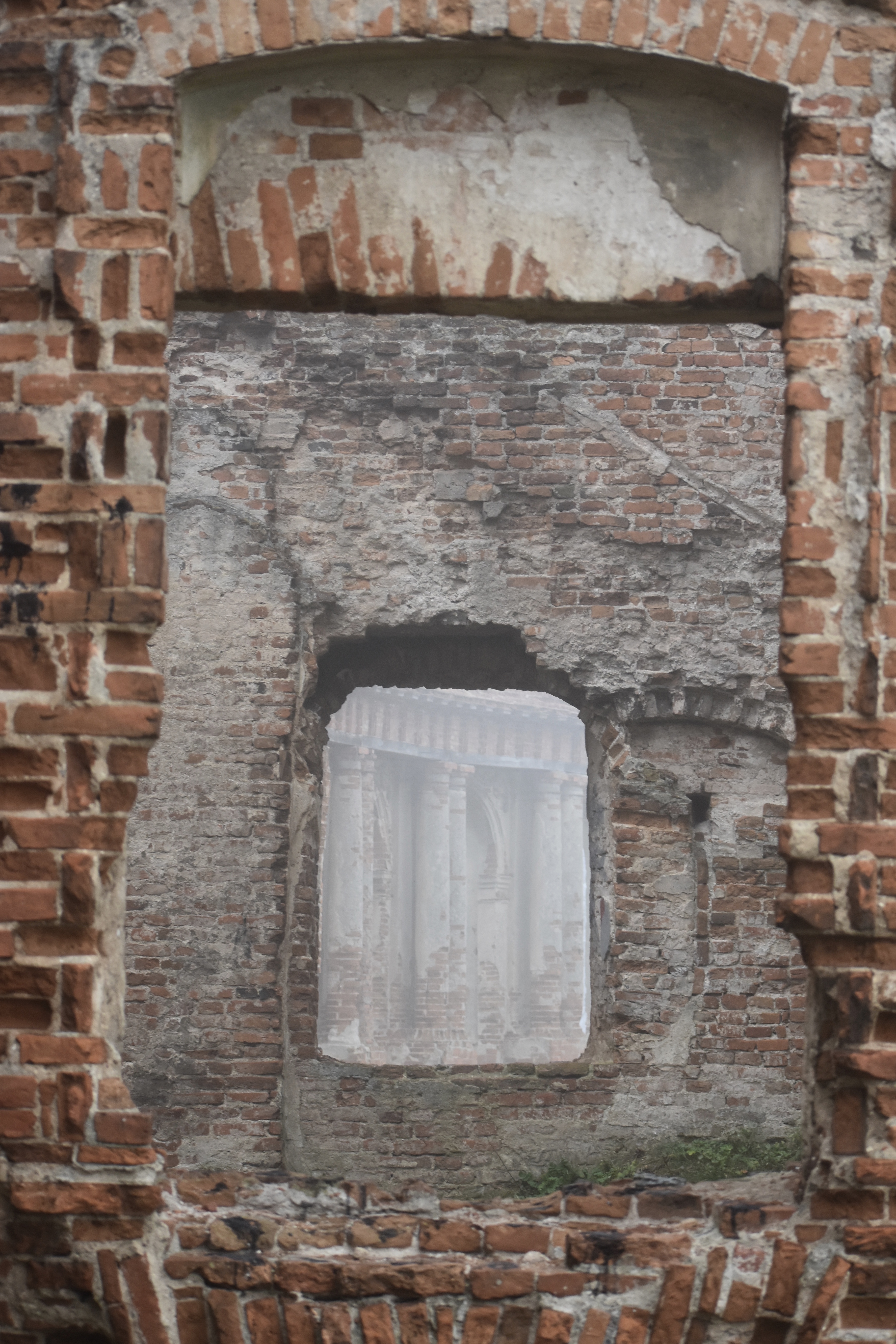 190D5204-A4EC-4C1E-B990-D4B017024984