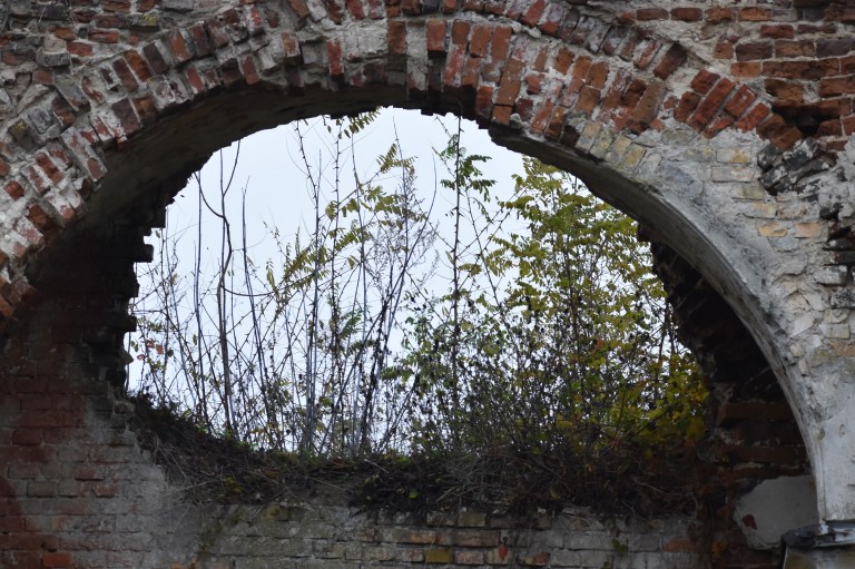 268358A4-8325-47F2-9AD8-6F3D27EEEBA7