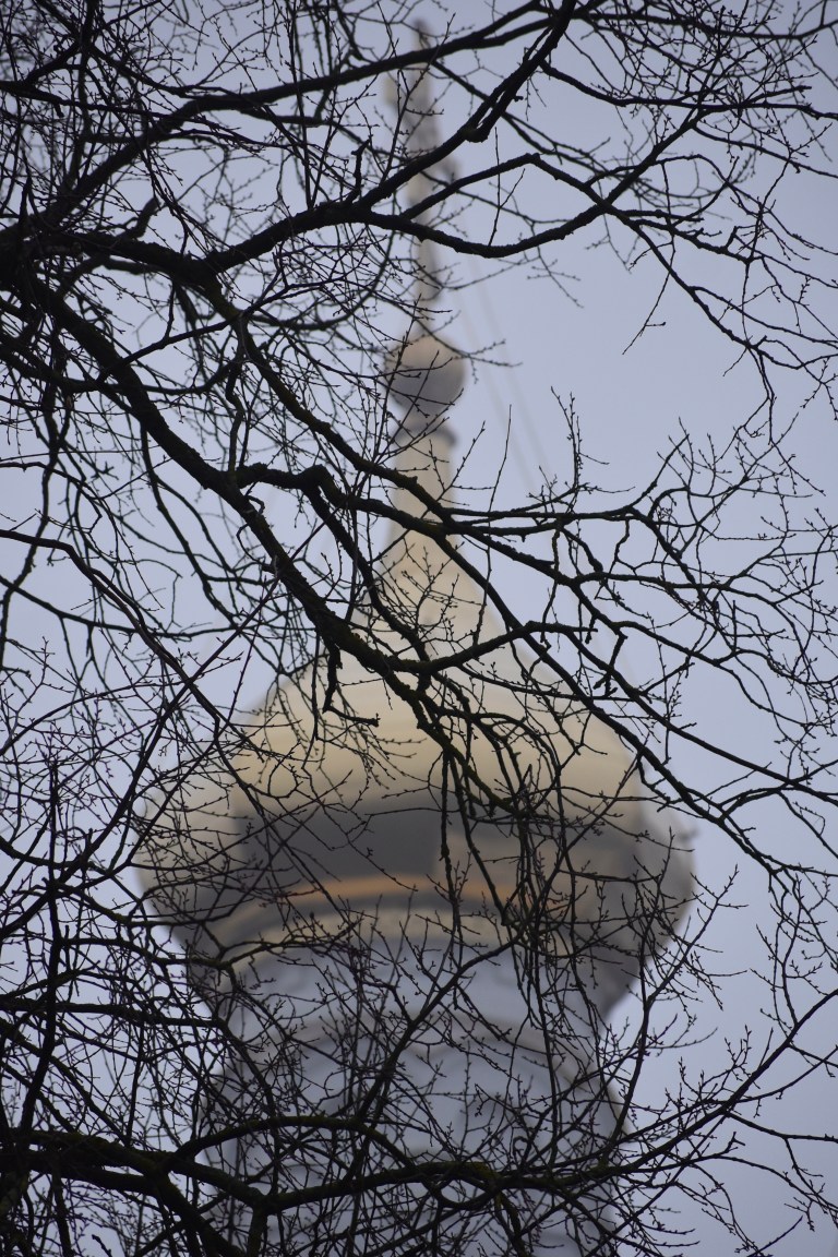 31E1E01F-5ED2-44CC-A709-DF78A9700D8B