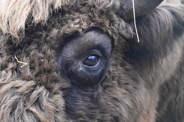 323B1796-DD73-4A94-A978-68A24411BBAF