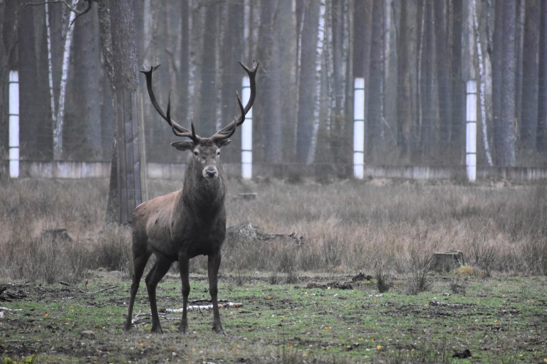 3D700C1B-0E30-4F65-820D-A62DB154BFD6