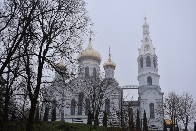 402F4914-E98B-411A-8EC2-366A8A52B671