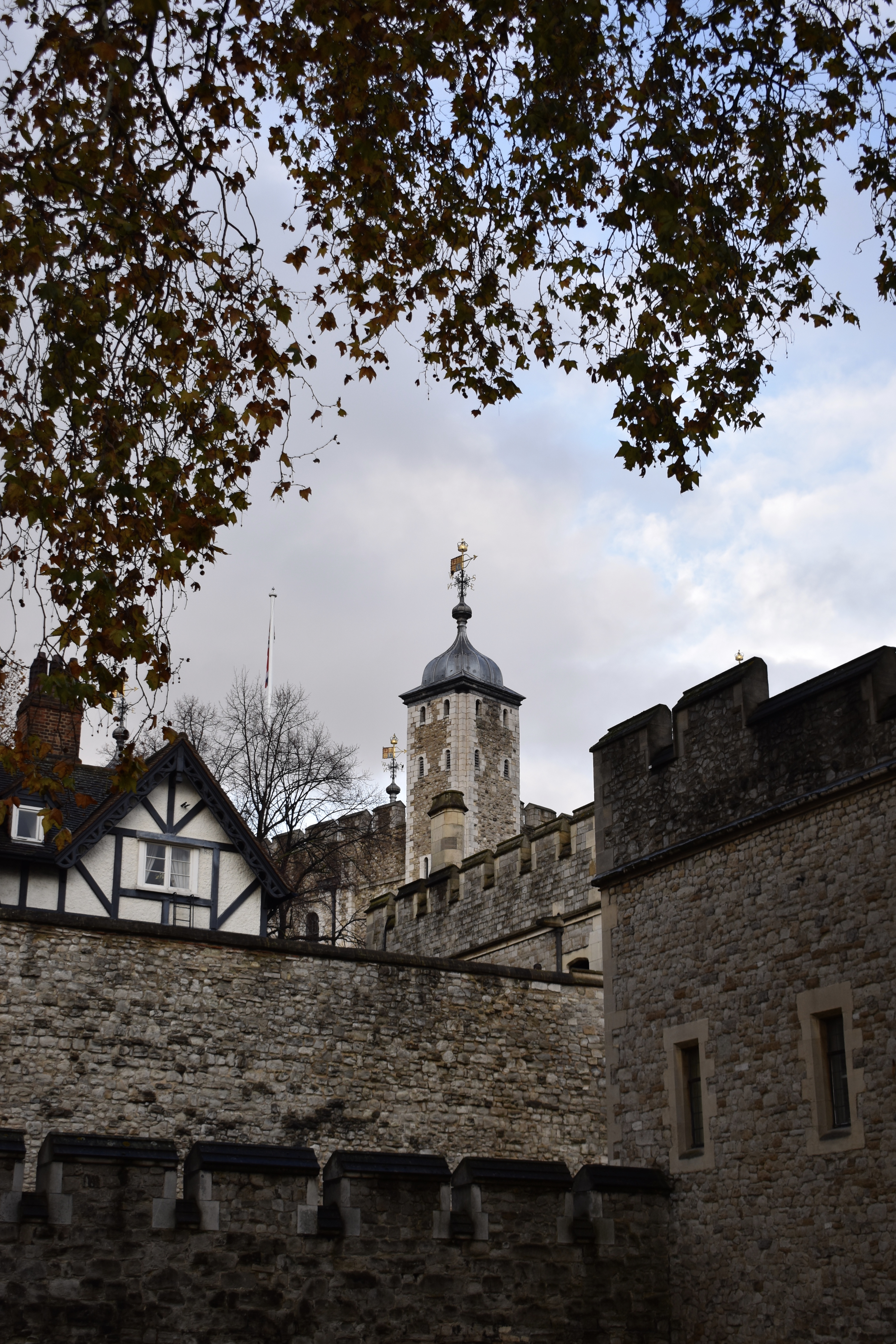 6A412AAB-E54A-4788-8CC0-418E5E1C8A7E