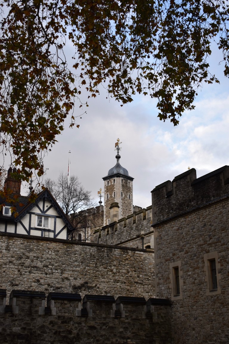 6A412AAB-E54A-4788-8CC0-418E5E1C8A7E